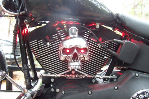 NEW HORN COVER FOR HARLEY DAVIDSON 93 TO PRESENT FITS ALL BIG TWINS!!